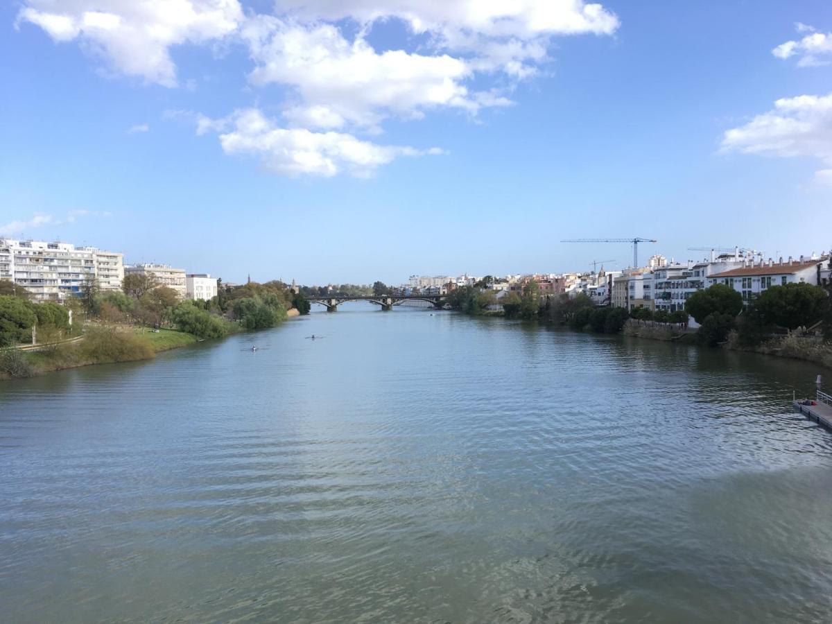 Apartament La Terraza Azul Sewilla Zewnętrze zdjęcie