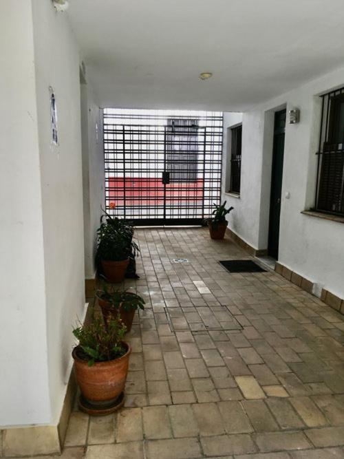 Apartament La Terraza Azul Sewilla Zewnętrze zdjęcie