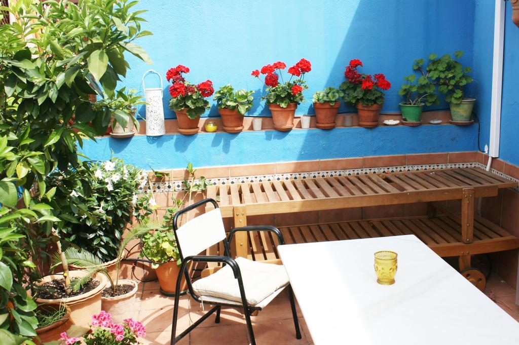 Apartament La Terraza Azul Sewilla Zewnętrze zdjęcie